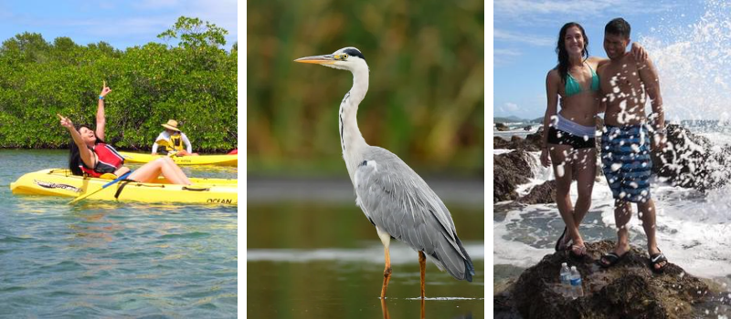 A woman is laying on a kayak next to a bird and a couple standing on a rock