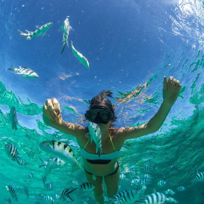 A woman is swimming in the ocean surrounded by fish.