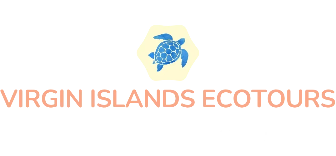 Virgin Islands Ecotours