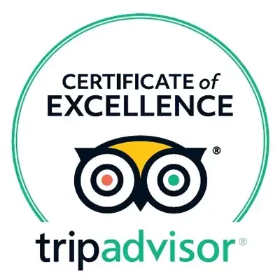 The logo for tripadvisor is a certificate of excellence.