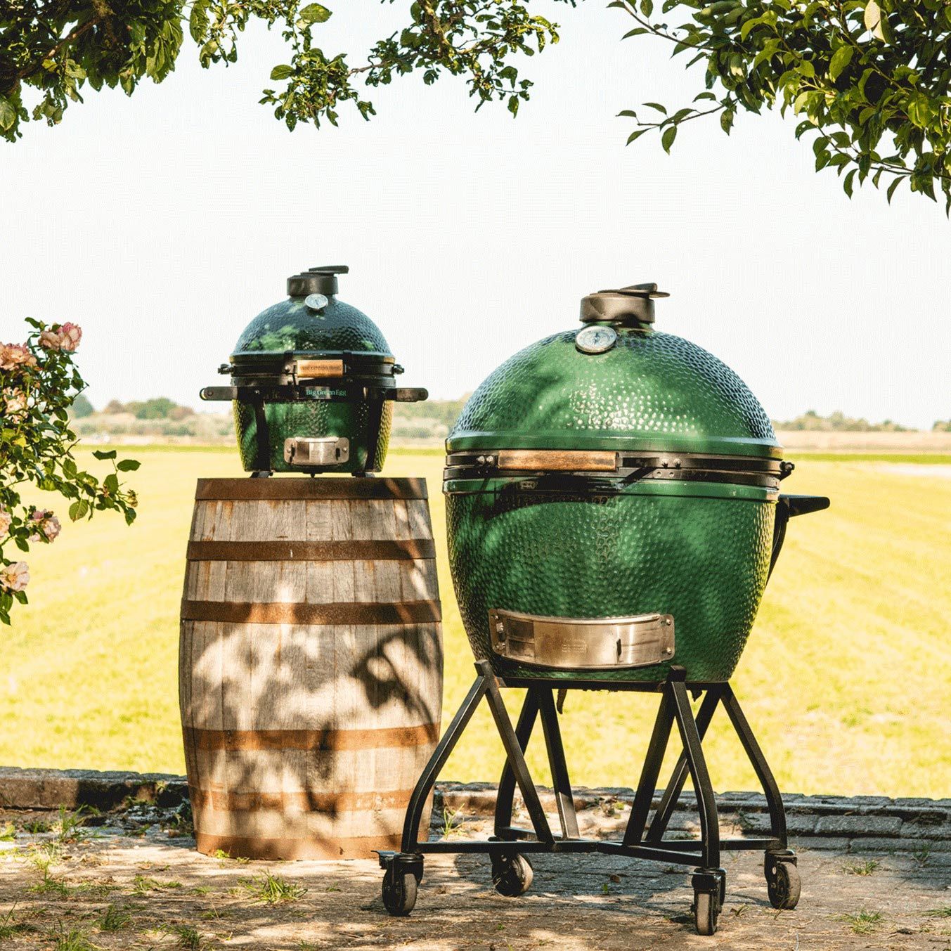 Big Green Egg XL and Minimax