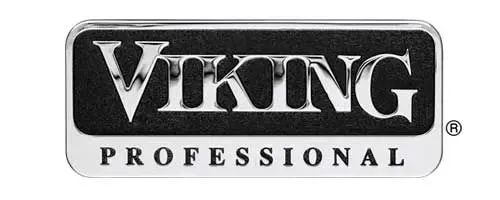 A viking professional logo on a white background