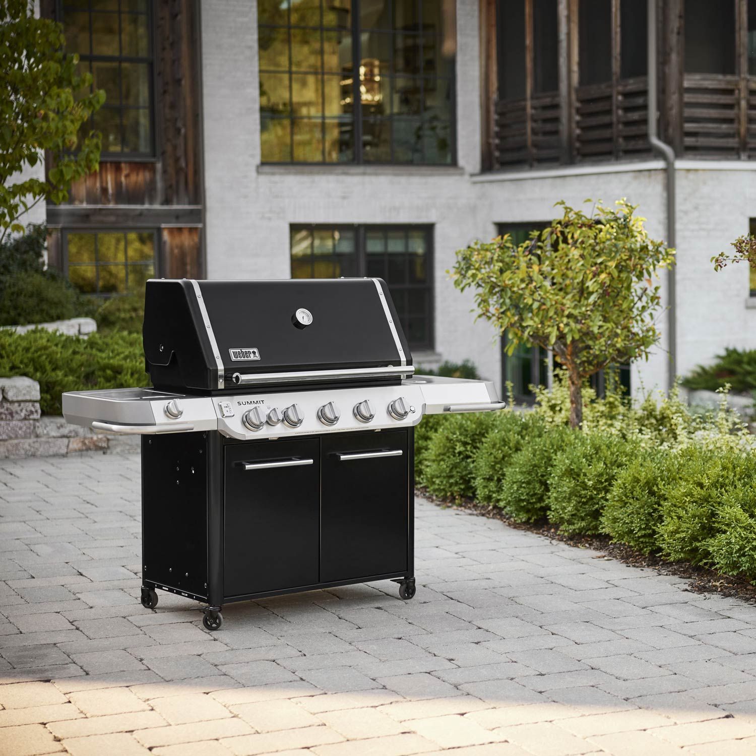 Weber Grill