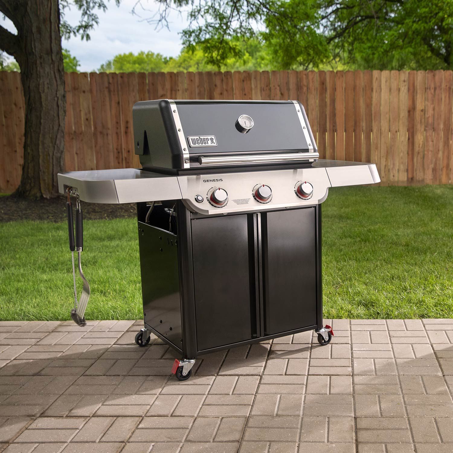 Weber Grills Outdoor Grill