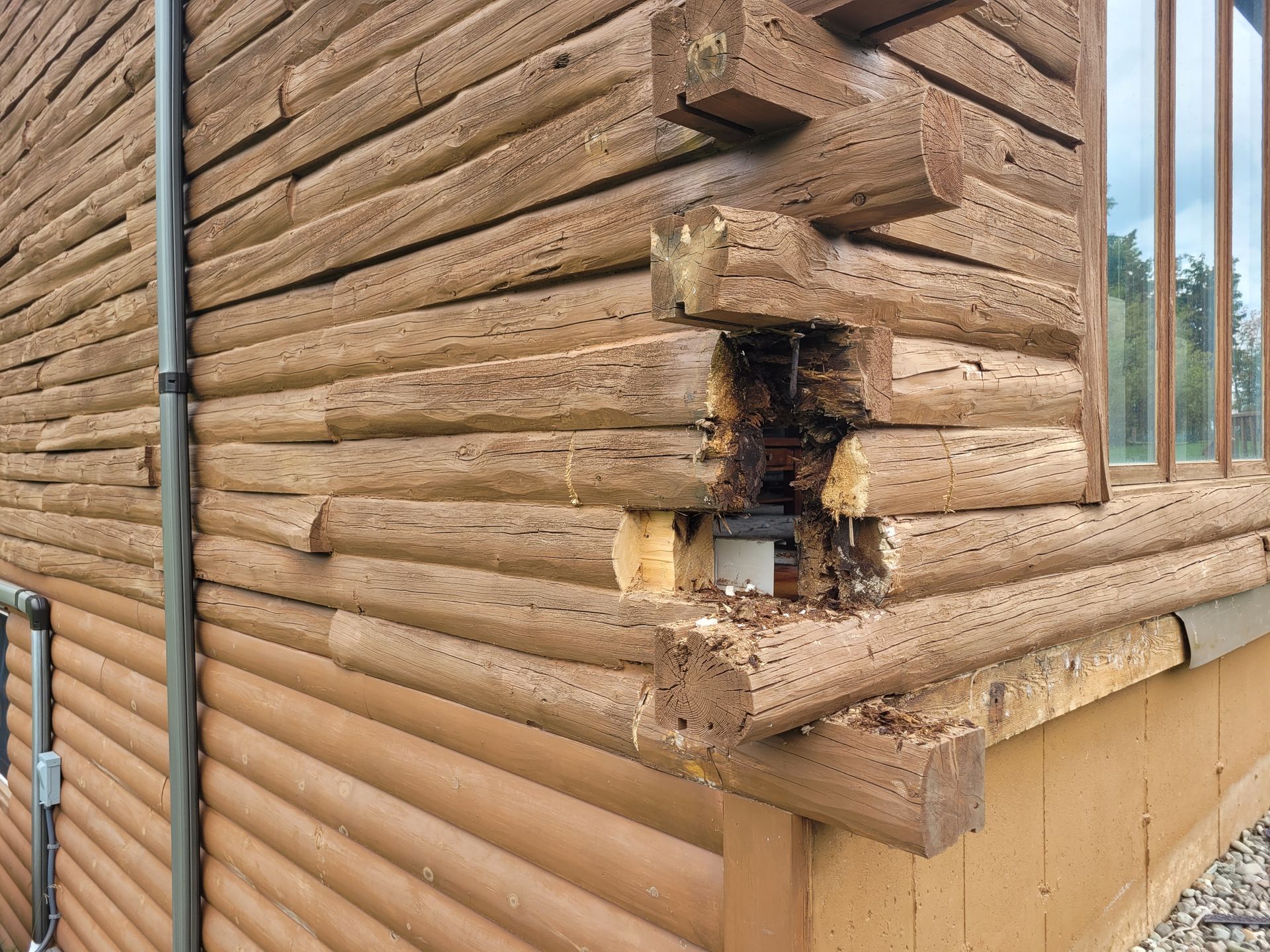 Logs In Need Of Repair - Work In Progress By  Big Tree Log Homes Of Island Pond, VT