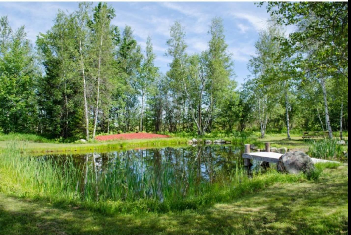 Pond Outside New Log Home - Big Tree Log Homes - Vermont
