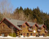 Log Home Restoration