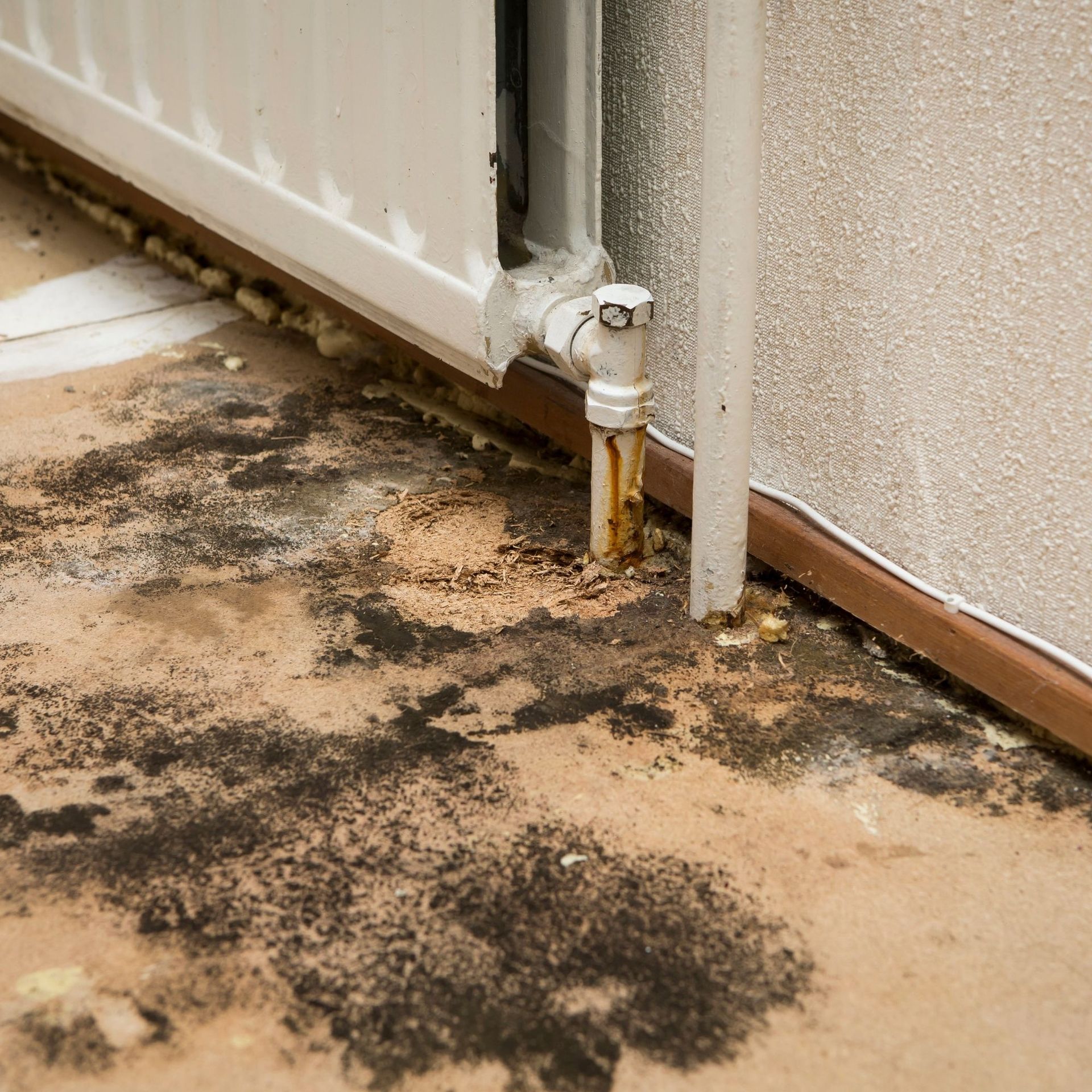 Mold Remediation Inc -A dirty floor next to a radiator and a pipe