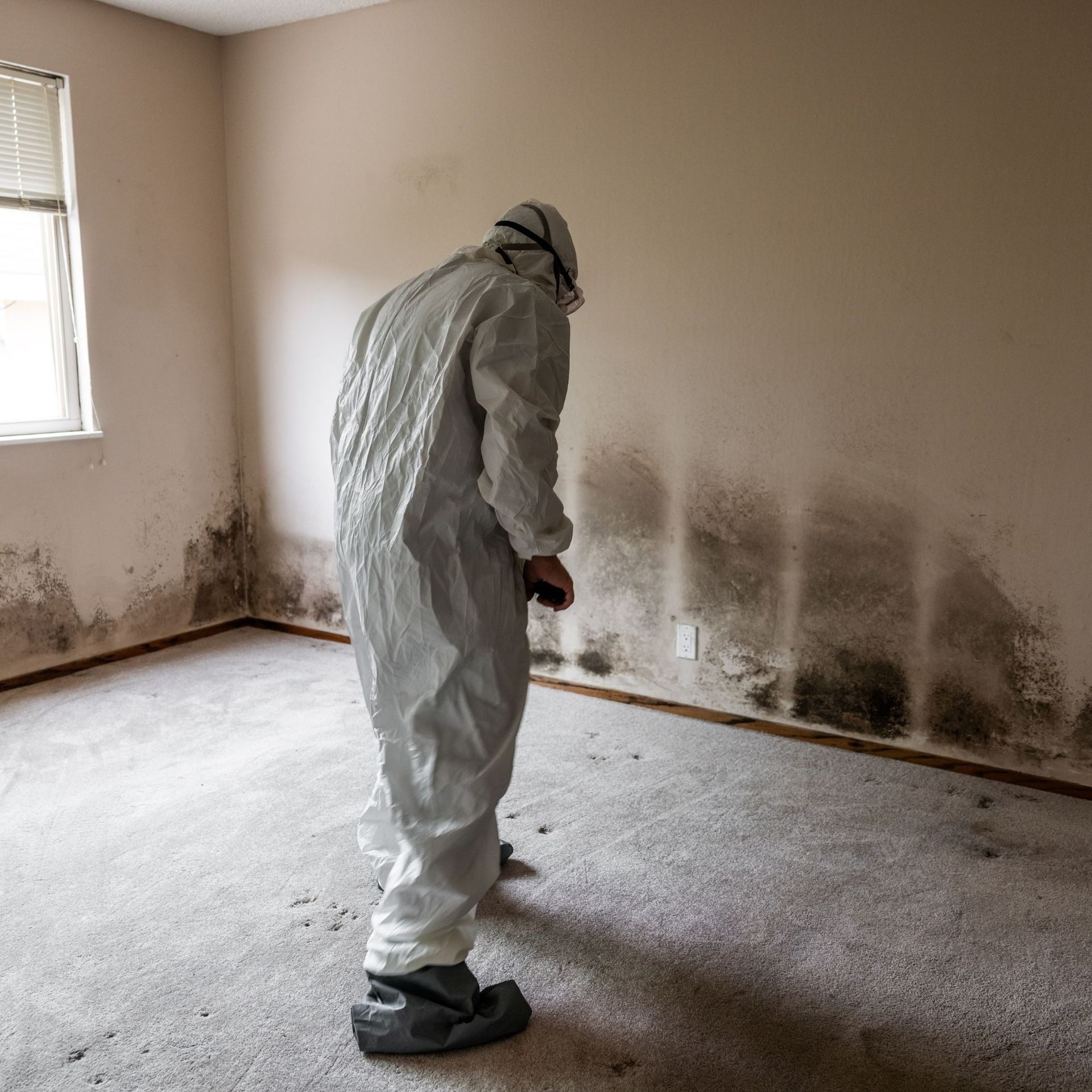Mold Remediation Inc -A man in a protective suit is standing in a room with mold on the walls.