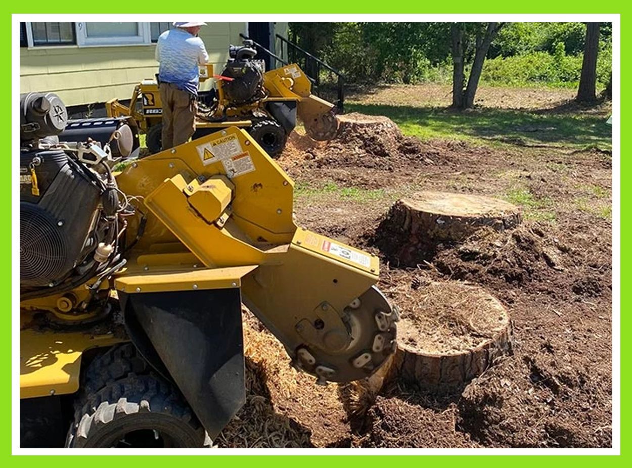Stump Removal Stump Removal