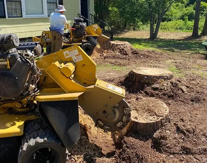 Stump Removal Stump Removal