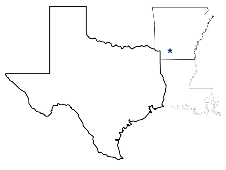 Map of Texas outlined in black, with a small blue star marking a location in the northeastern area.
