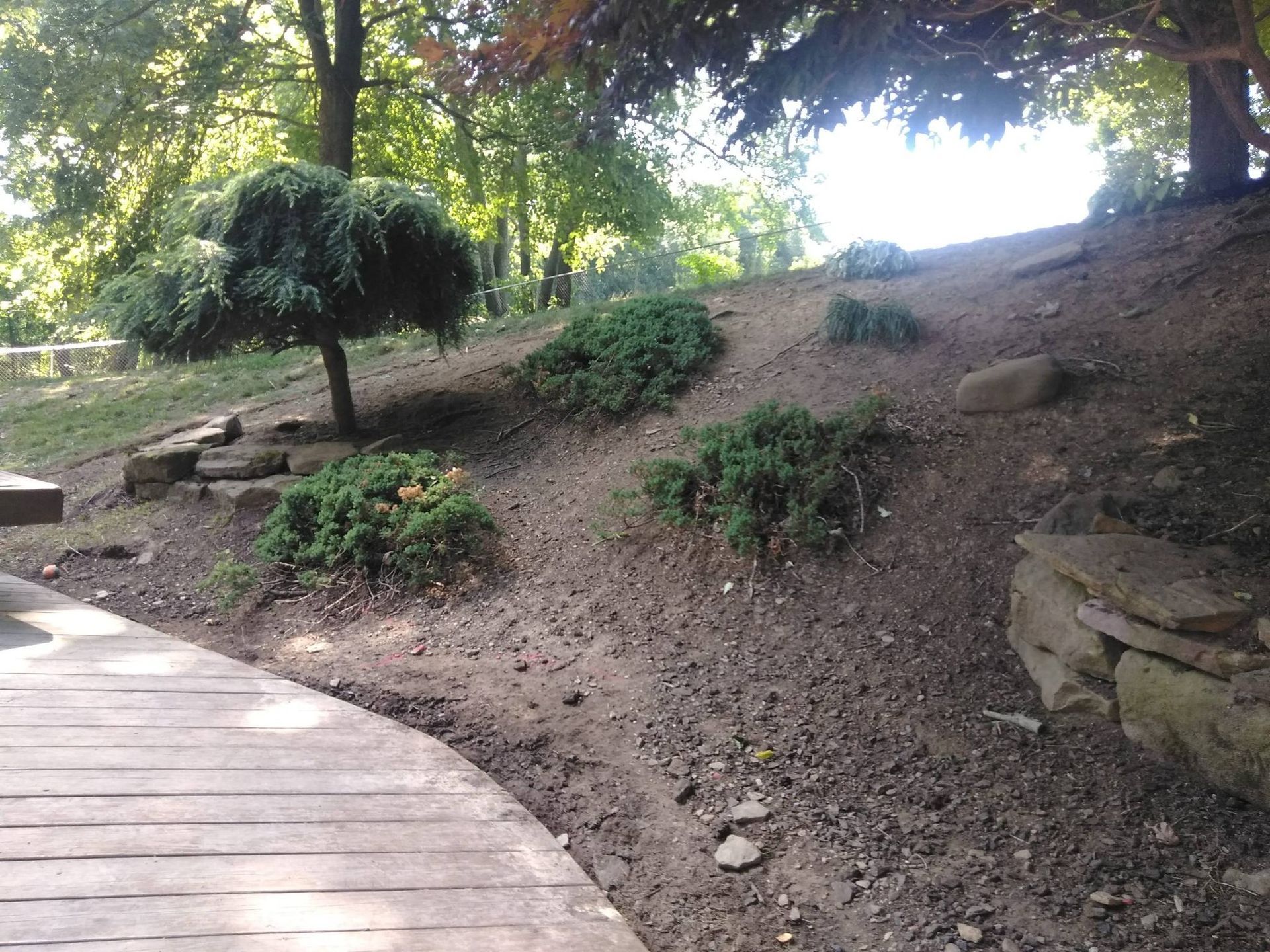 Curved wooden boardwalk beside a dirt slope with rocks, shrubs, and trees in a park