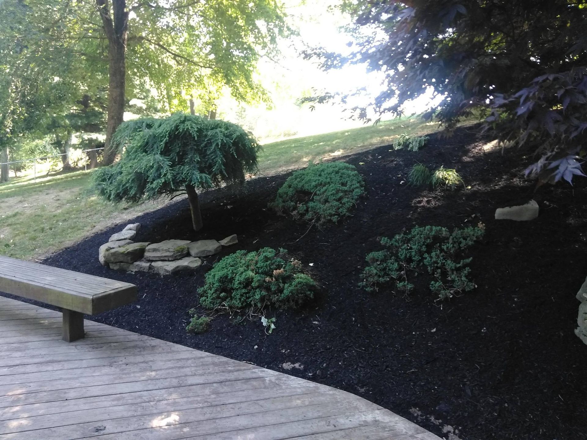 Wooded garden bed with shrubs and rocks beside a wooden walkway in dappled sunlight