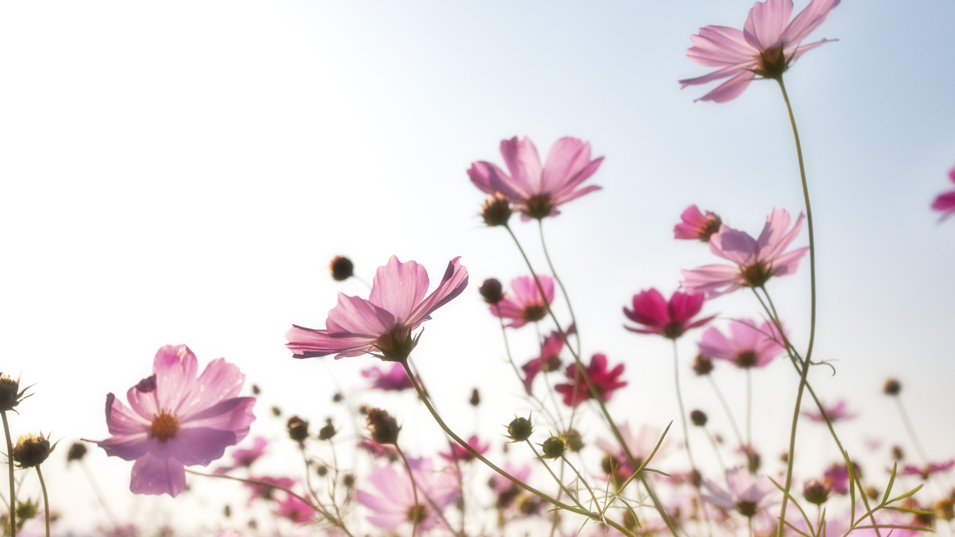 Jo Sauder To Love Beyond Blog | Motherhood, Parenting, Faith and Missions