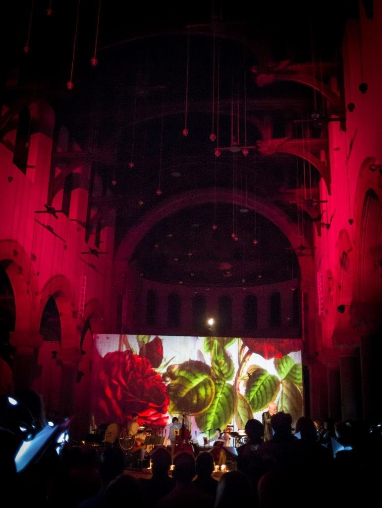 A large screen in a dark room with a picture of roses on it