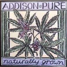 Addison Pure Logo