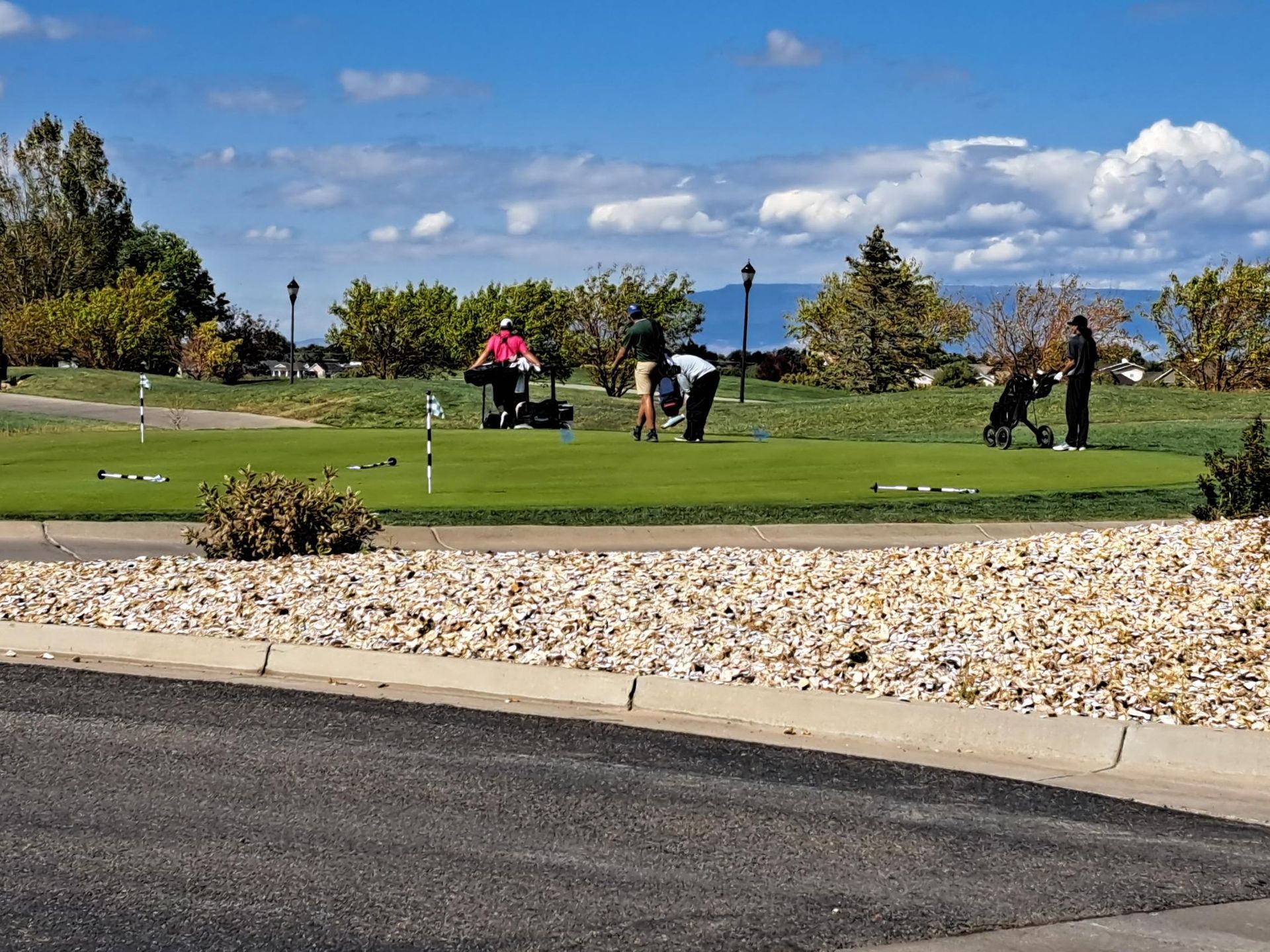 People golfing on a green, sunny day. The course includes carts, flags, and rocks.
