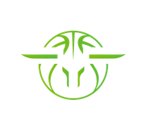 Nova Bulls Organization
