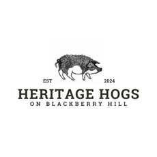 Logo: Pig drawing above 