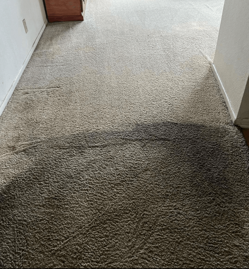 4 Elements Carpet Cleaning & Services