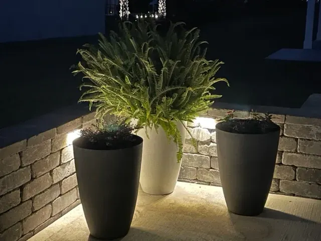Three potted plants lit by warm lights on a stone patio at night