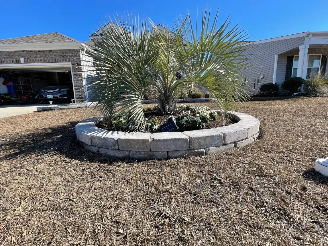Desert landscaping with a circular stone planter and spiky plants in front of a suburban house