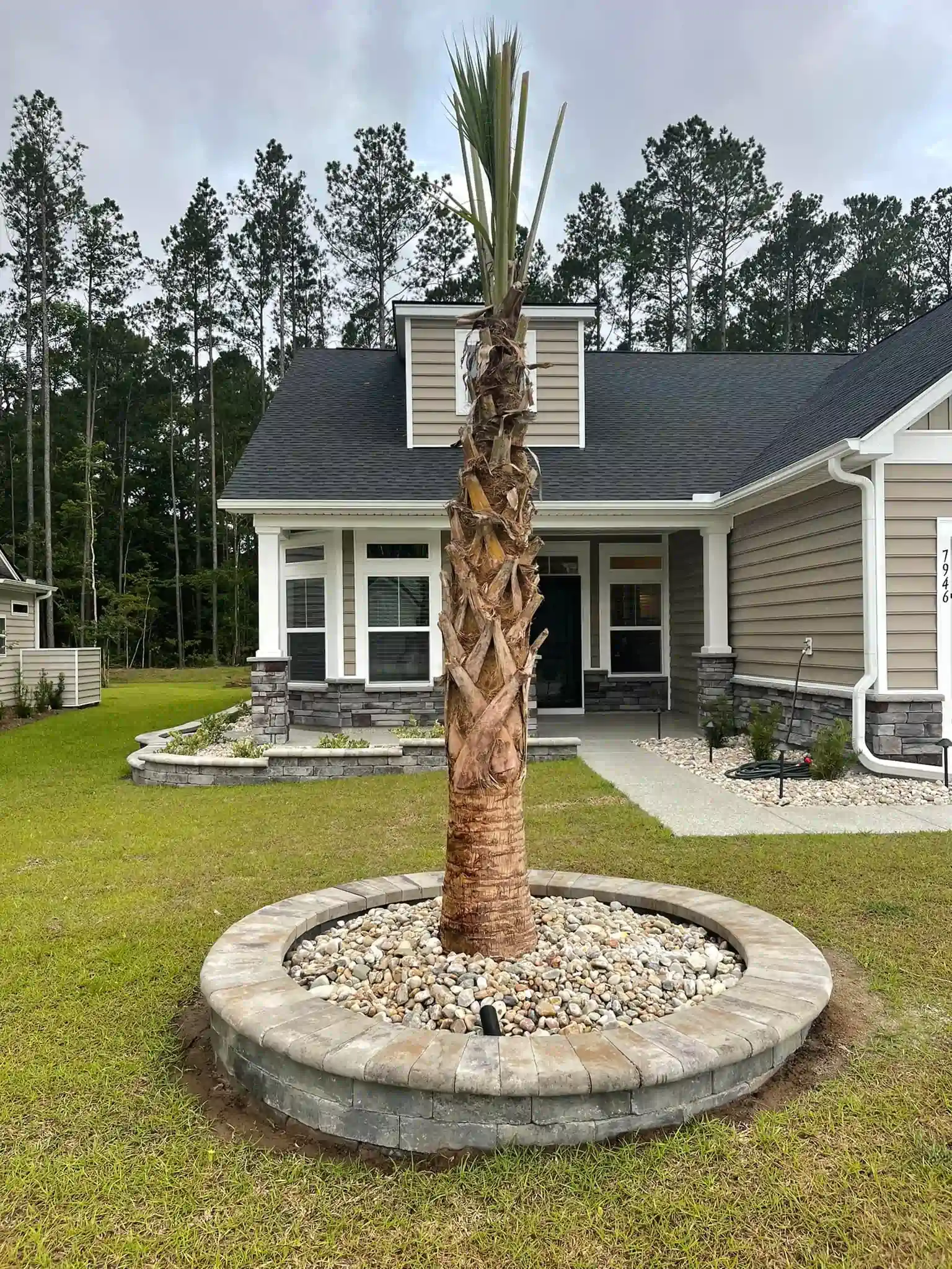 Young palm tree in circular stone planter in front of a gray house with a dark roof and trees behind