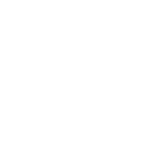 Executive Protection