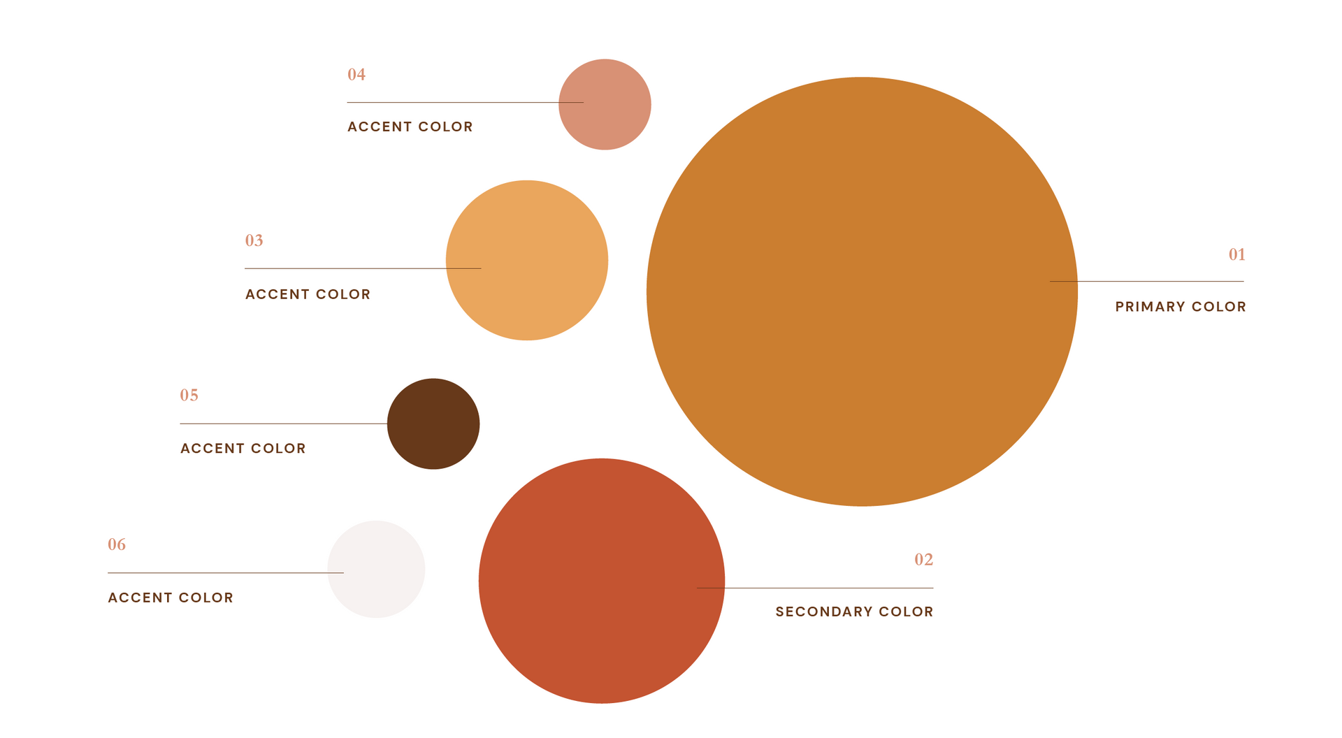 A group of circles of different sizes and colors on a white background.