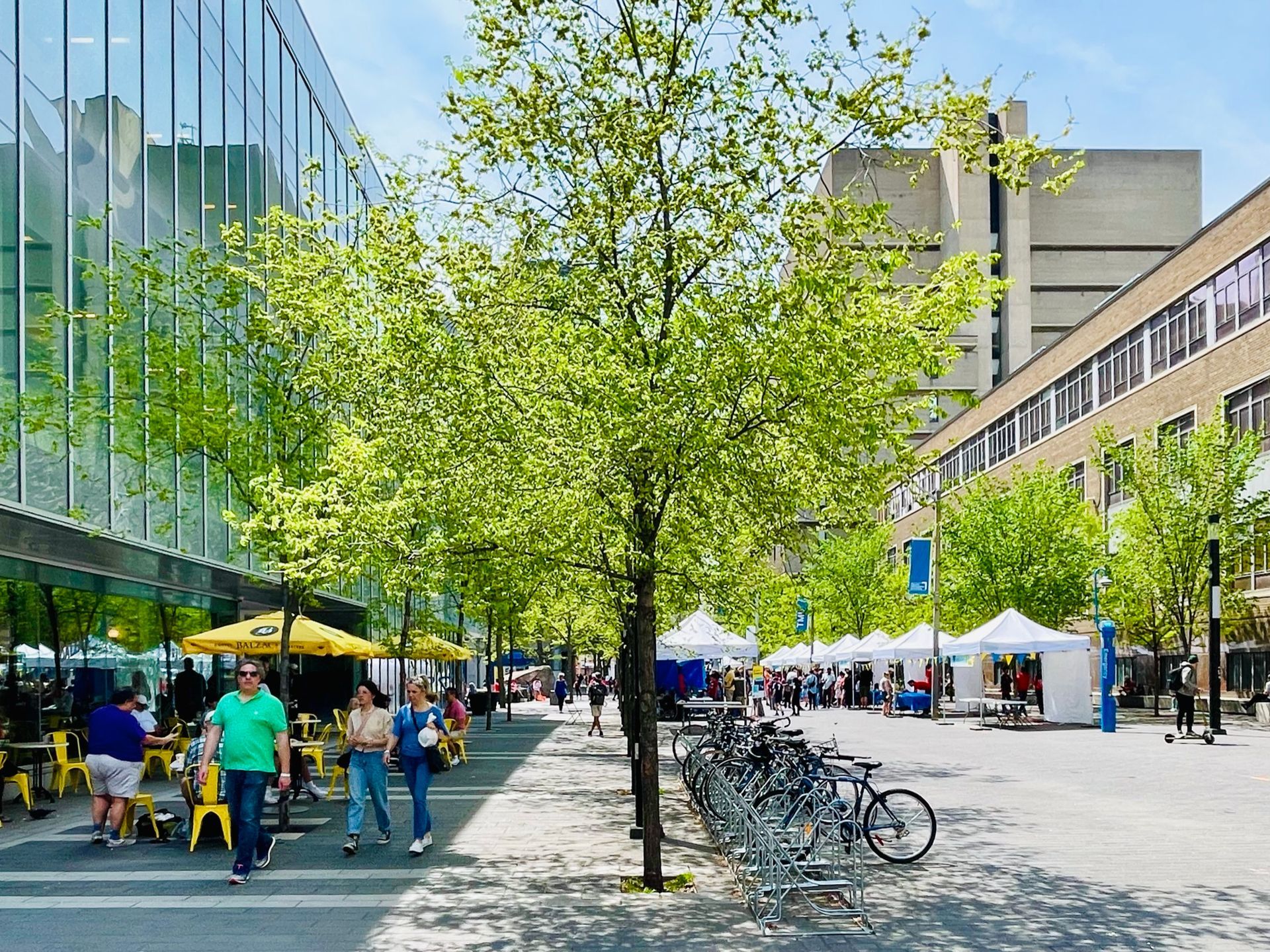 Tree-lined city plaza with people walking, bikes parked, and white tents beside modern glass buildings.
