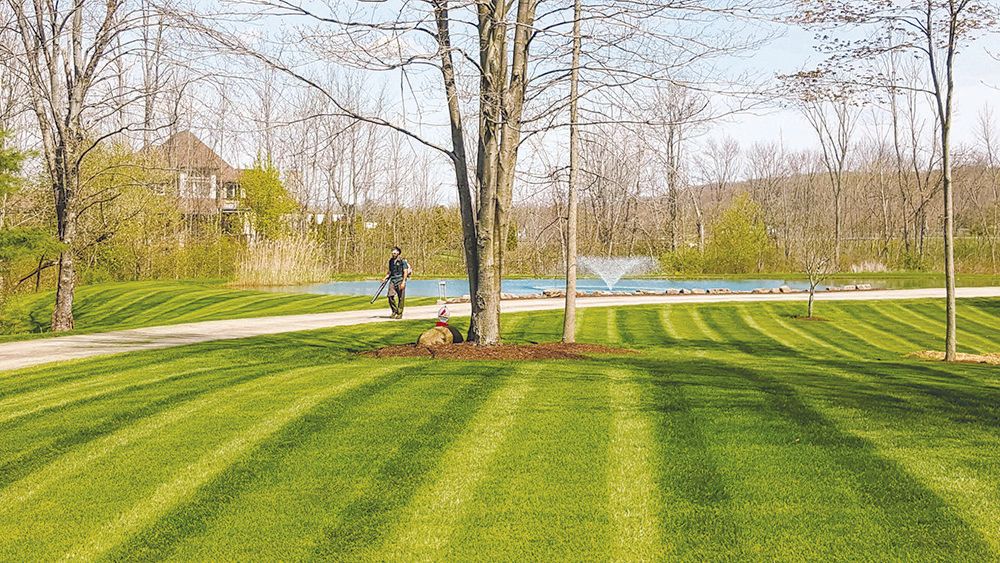 Man on a bicycle rides on a path, with freshly mowed green grass and a tree in the center.