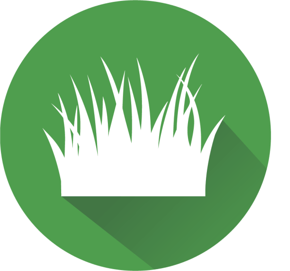 White grass illustration on a green circle, with a long shadow.