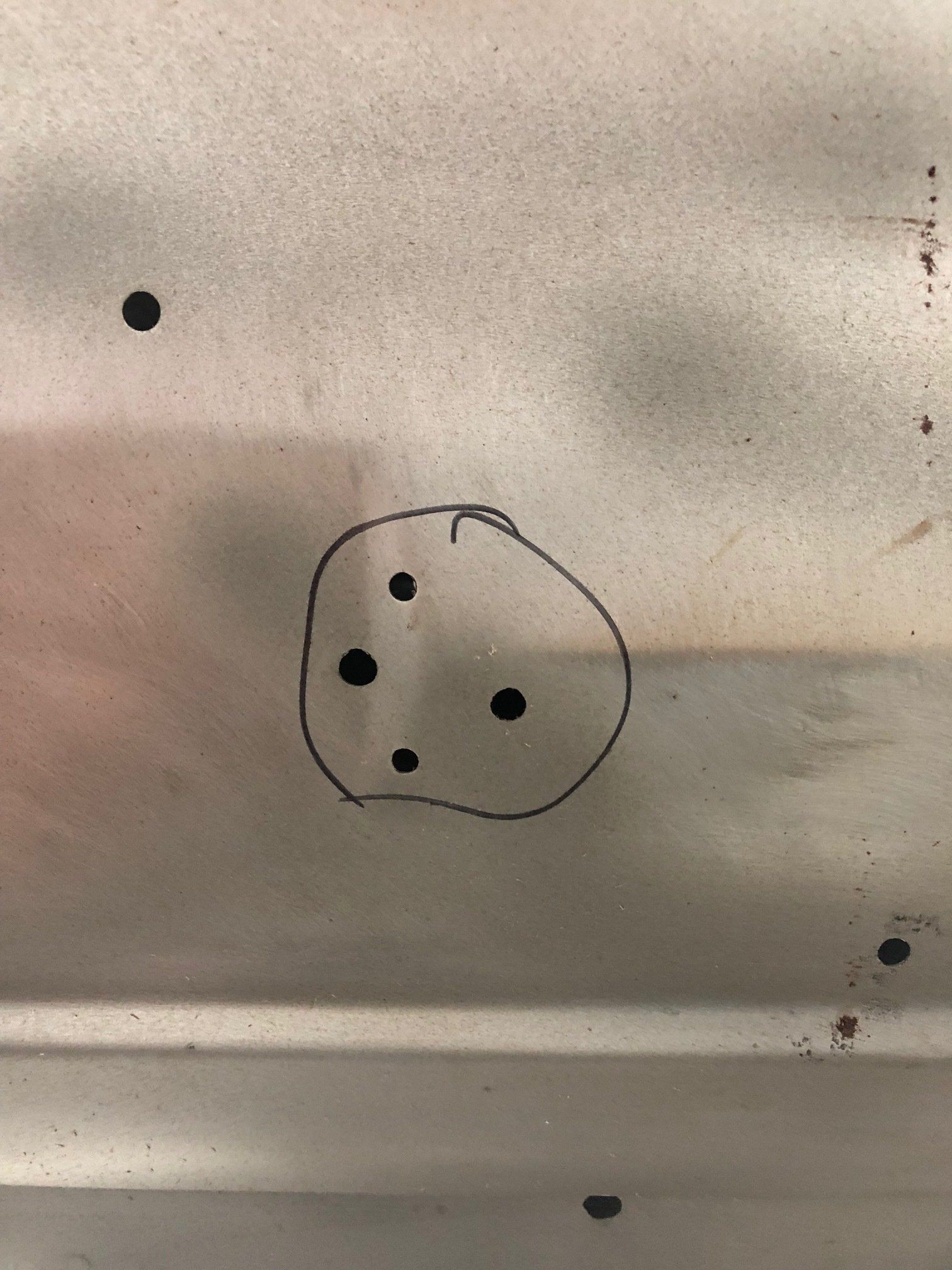 Close-up of a beige surface with several small black dots, one group circled in pen.