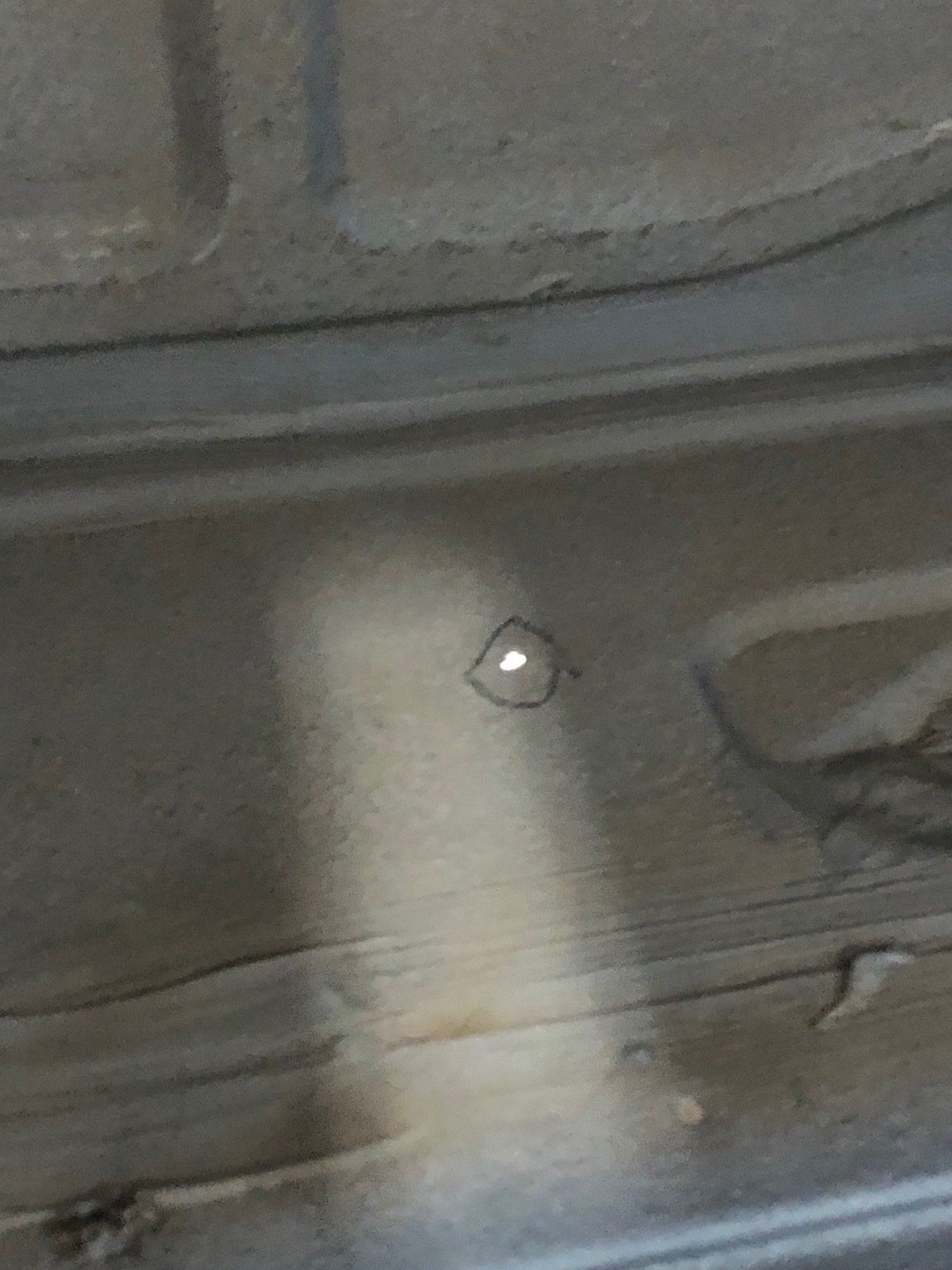 Close-up of a gray textured surface with a small reflective metal bolt or screw.