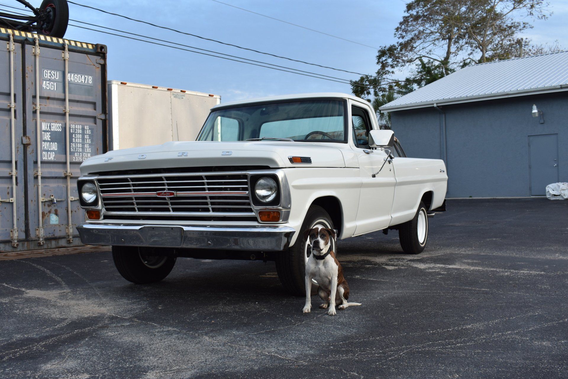 White vintage pickup truck parked on asphalt with a dog standing in front, beside shipping containers and a garage