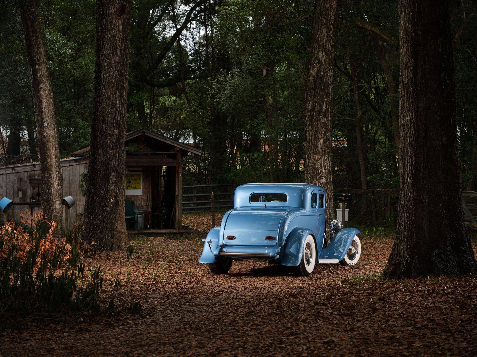 Blue vintage car parked among tall trees in a wooded setting