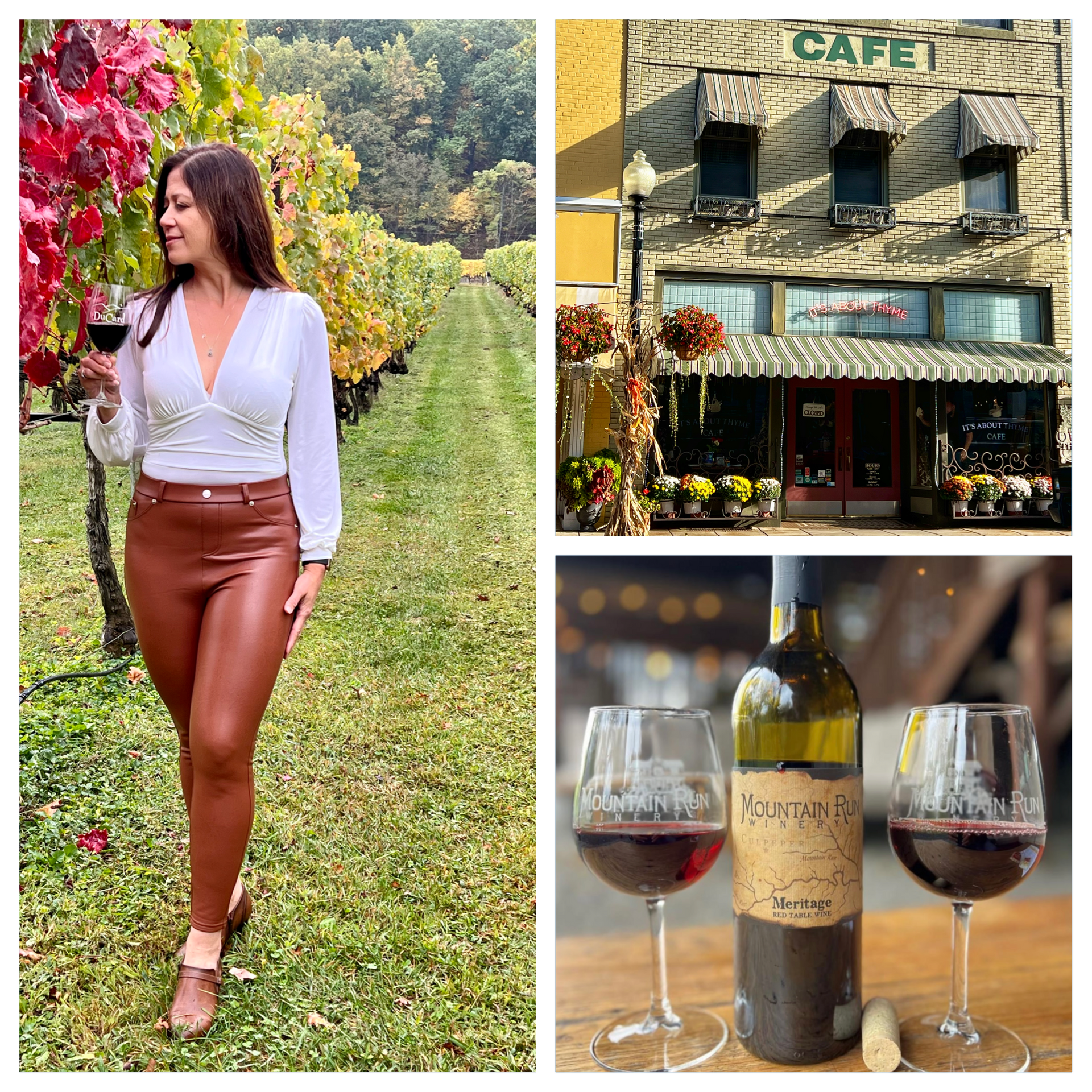 Quaint Towns & Vineyard Tours