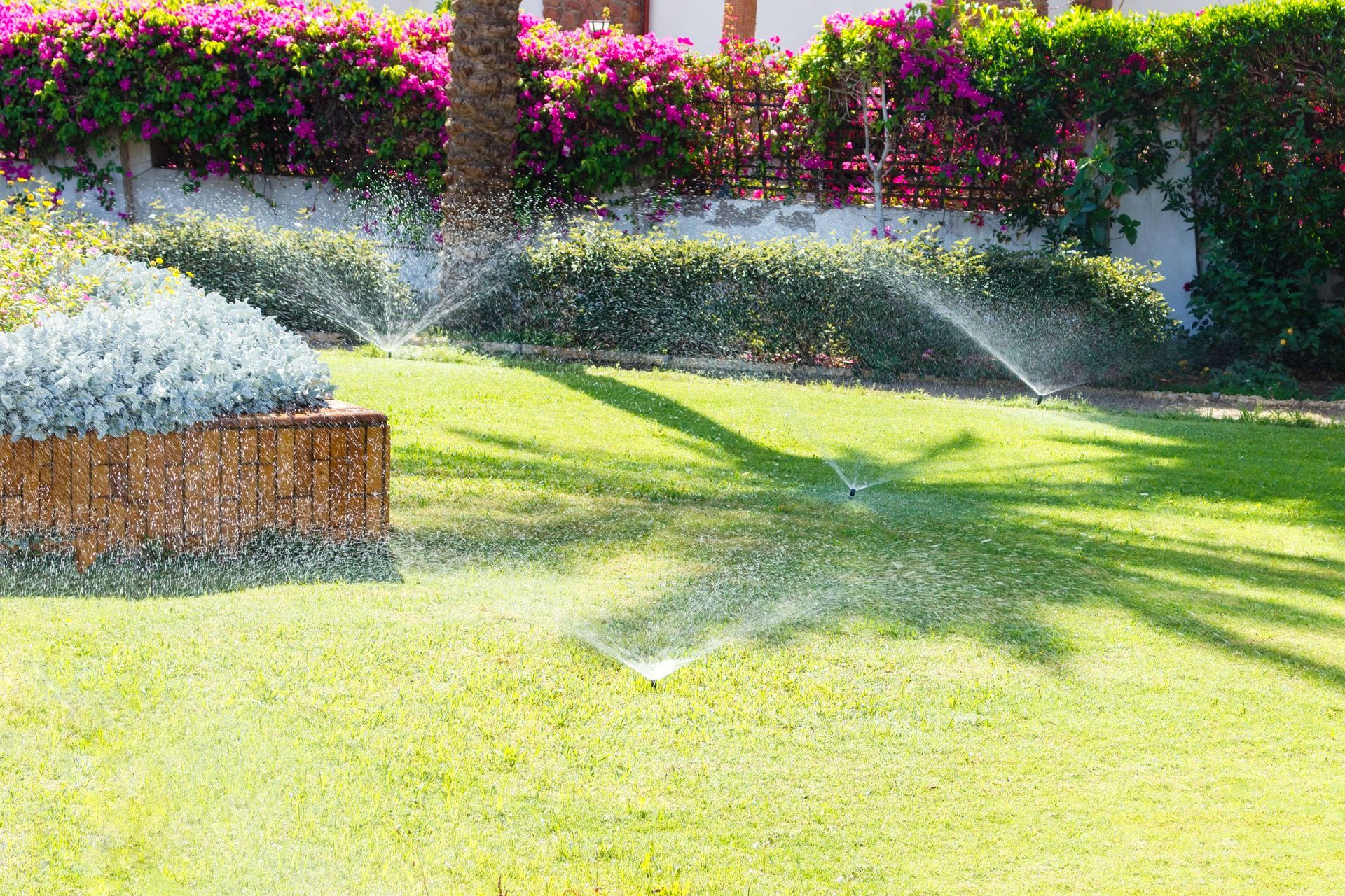 A sprinkler is spraying water on a lush green lawn.