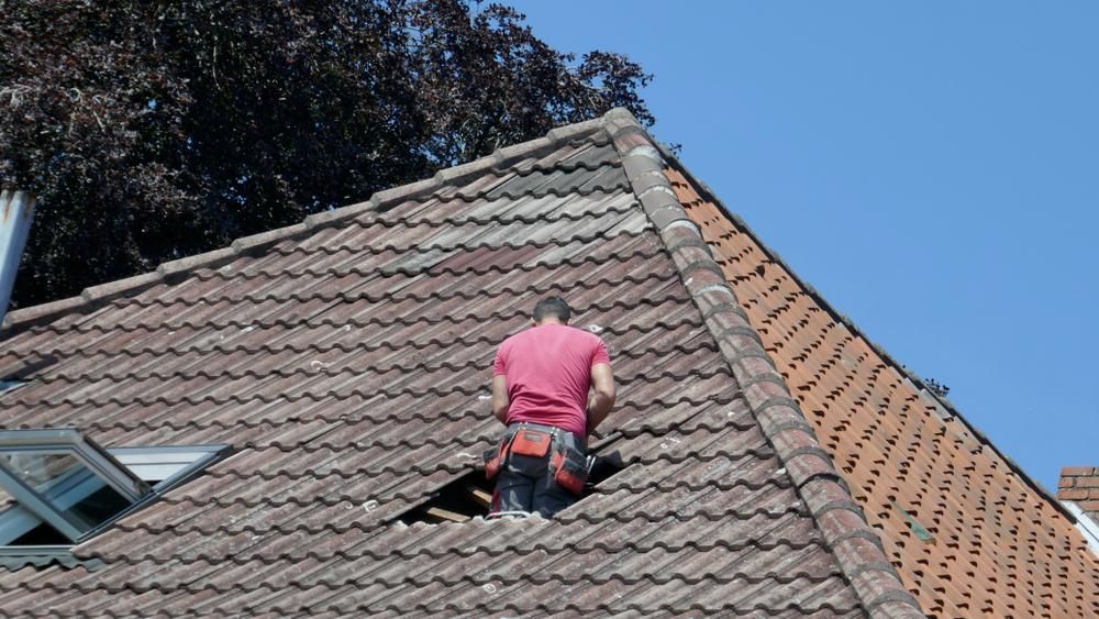 A Man in A Pink Shirt Is Standing on Top of A Tiled Roof — Bradley Roofing in Tuncurry, NSW