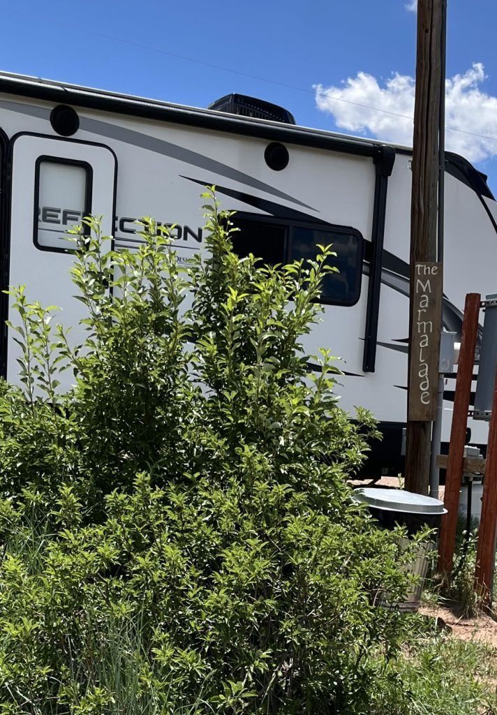 A white RV with a “Reflection” label, next to a bush and a brown post.