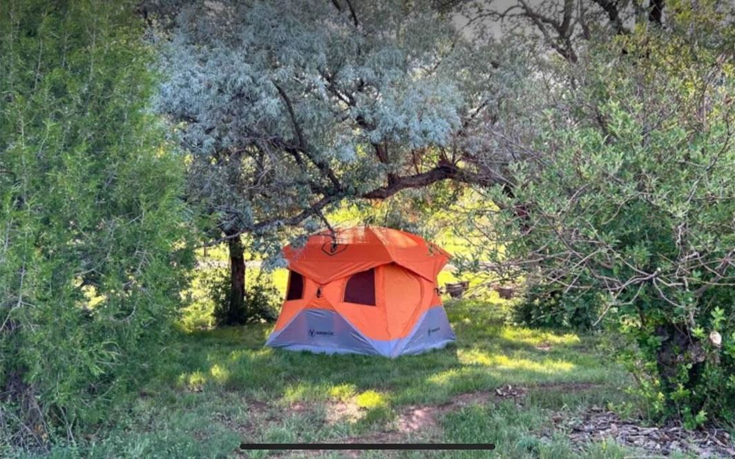 Orange and gray tent pitched in a grassy clearing surrounded by trees.