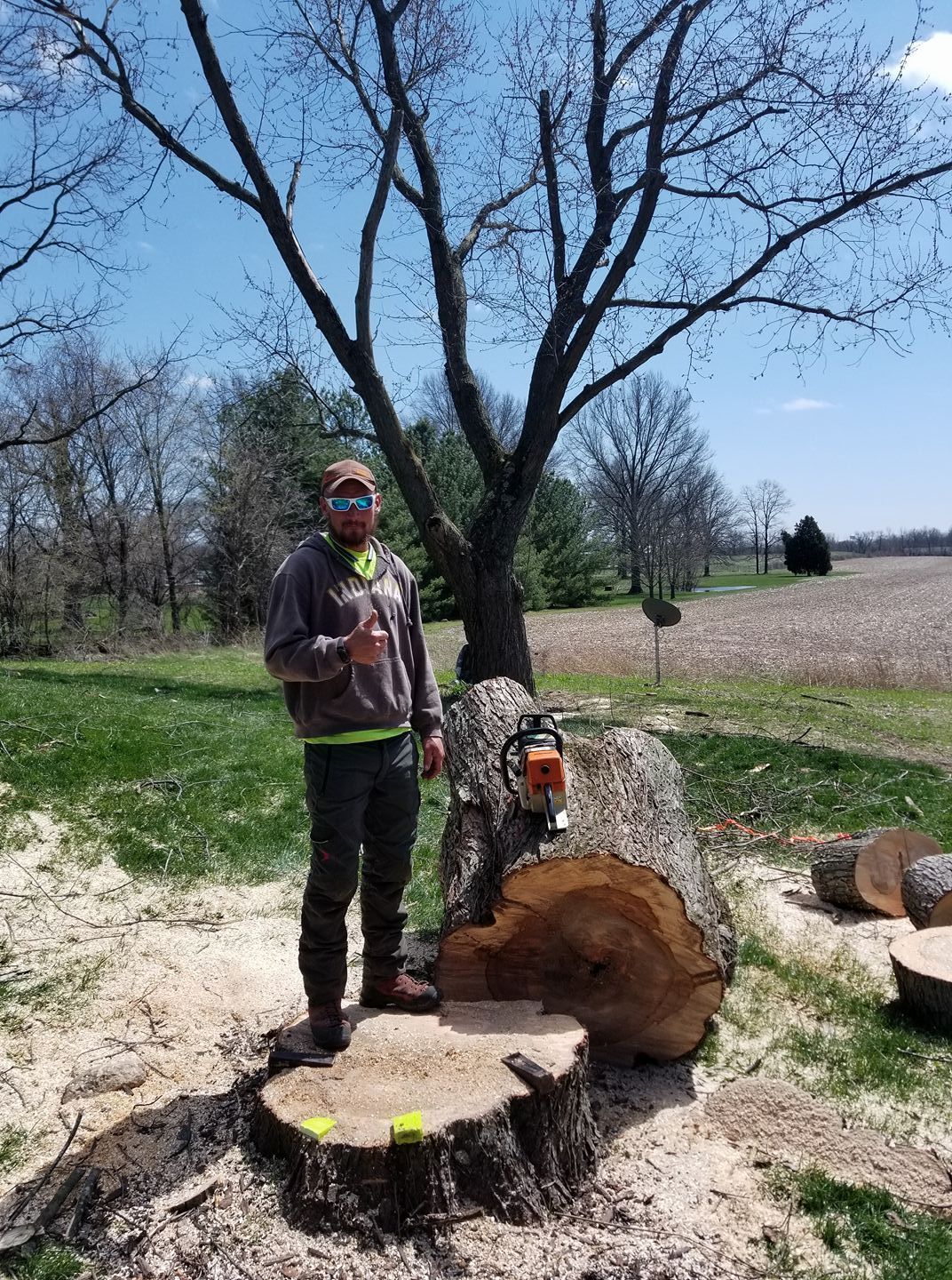 Worker stands beside a cut tree trunk with a chainsaw in a rural field under a large leafless tree.