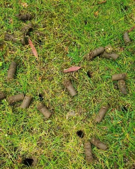 aeration