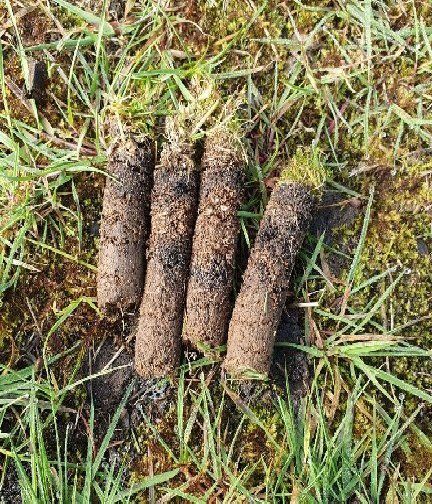 aeration pellets