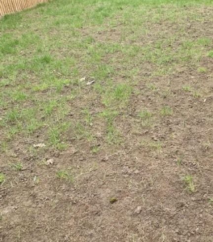 aeration pellets