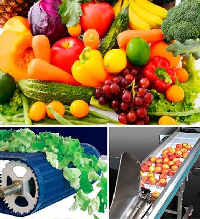 Industria de frutas y verduras