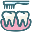 A toothbrush is brushing a pair of teeth.