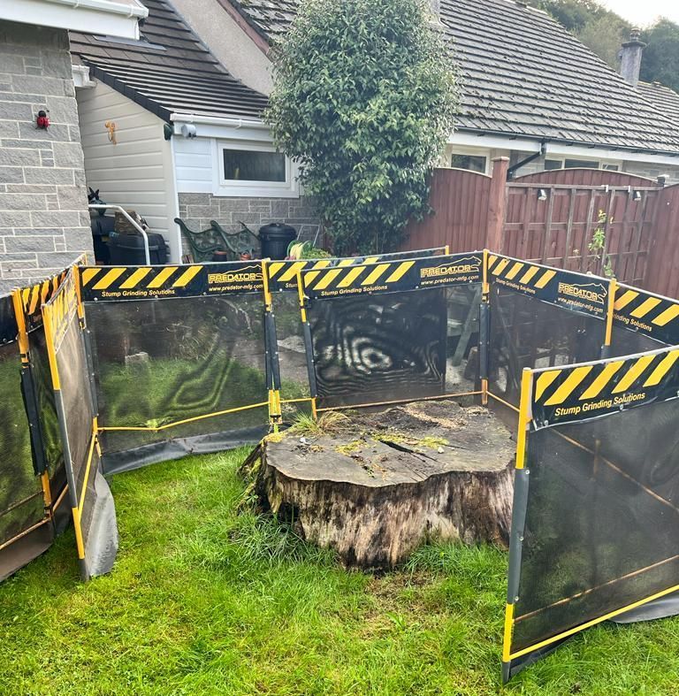 a large tree stump in a dumfries garden about to be removed by stumps get gone.