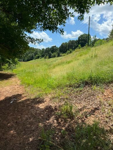 Sunny grassy hillside with trees, a dirt path, and blue sky with clouds